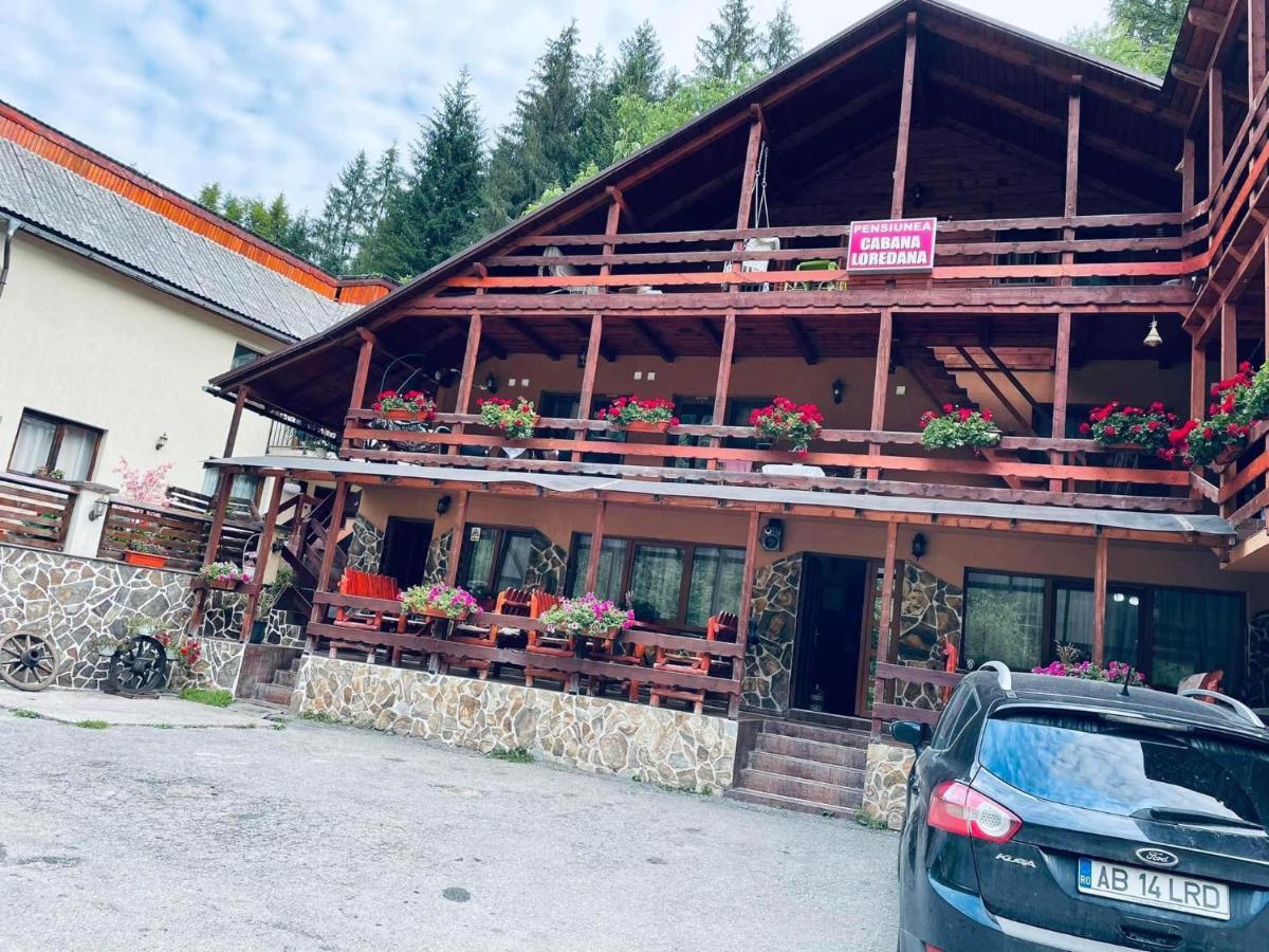 Cabana Loredana Vadu Motilor Dış mekan fotoğraf